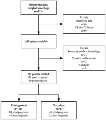 Radiomics features from perihematomal edema for prediction of prognosis in the patients with basal ganglia hemorrhage